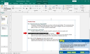 Publisher 2019 makes formatting, saving and sharing notebooks easy!