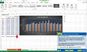 Find out how to enhance spreadsheets with charts and graphs.