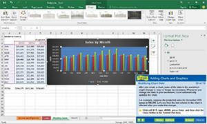 Find out how to enhance spreadsheets with charts and graphics.